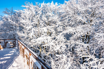 Wieżyca kaszuby wieża zima śnieg © Dariusz