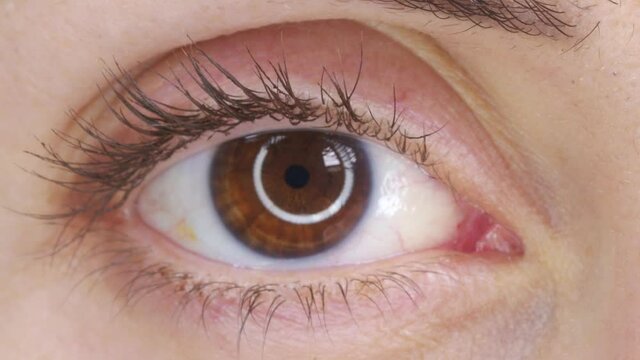 Beautiful human eye close-up. Young Woman brown one eye. Macro Closeup eye blinking and looking. Eyelid, iris, Eyesight concept.