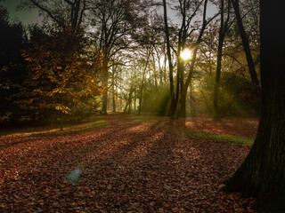 Naklejka premium OLYMPUS DIGITAL CAMERA