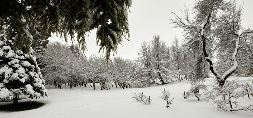 Heavy snow covers the garden on the moorland smallholding after daylong snowfall in Nidderdale