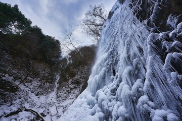 凍結してツララのできた美しい滝。愛媛県東温市にある白猪の滝の氷瀑。