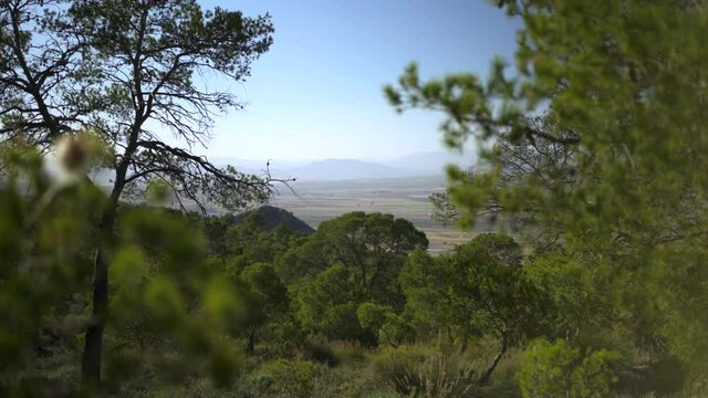 Jumilla mountainside valley in Spain, summer breeze blowing trees, slider shot