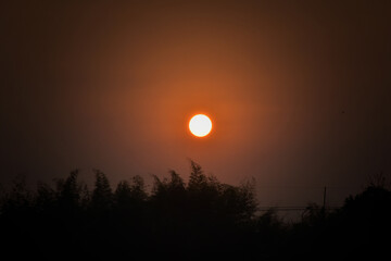 Beautiful orange color of sky from sunrise over tree bush in morning fresh. Start fresh day for new life with back to nature.