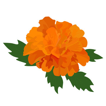 orange flower with green leaves clip art preview