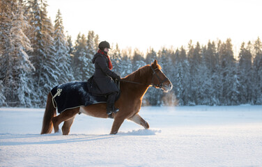 Woman horseback riding in snowy forest in winter in Finland