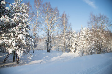 View of the snow-covered forest on a sunny day from the winter road. Horizontal orientation