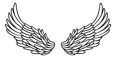 Fototapeta premium Angel or bird wings abstract sketch isolated on white. vector doodle illustration. For your design