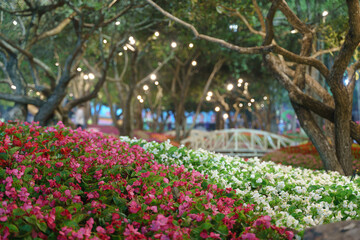 Fototapeta na wymiar Colorful flower garden with light decoration
