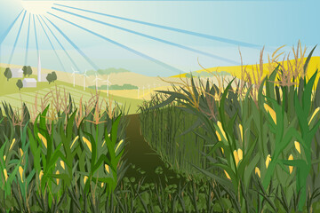 Rural landscape with fields, meadows and cornfield. Crop of cereals against the background of idyllic village nature. 