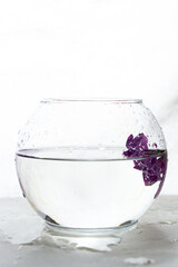 a vase of water with lilac flowers floating in it