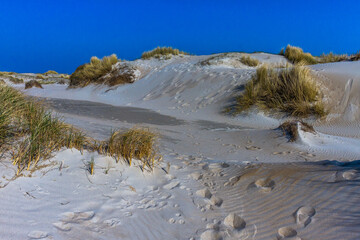 De Hors, Dünenlandschaft auf der Insel Texel, Niederlande