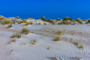 De Hors, Dünenlandschaft auf der Insel Texel, Niederlande