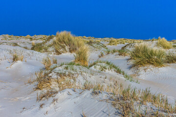 De Hors, Dünenlandschaft auf der Insel Texel, Niederlande