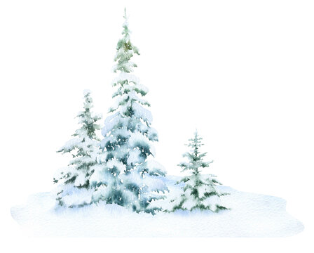Group of the snow-covered spruces hand drawn in watercolor isolated on a white background. Watercolor winter illustration. Winter landscape. Winter forest.	