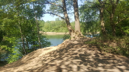 Lake in the woods See im Wald Waldsee