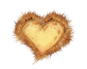 love nest  hearts valentines red chestnuts nest isolated for