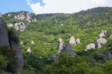 The cliffs rise above the green forest. Landscape in the mountains on a bright sunny day. Blue sky with a big white cloud is over the forest. The Valley Of Ghosts, Crimea, Russia
