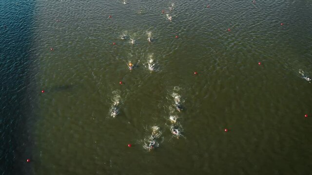 big group of swimmers at Triathlon Competition open water race part. aerial view slow motion shot swimming competitors at sunny day