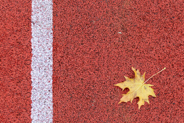 Detail of a bright orange running track with a white stripe and a fallen yellow maple leaf, elements and colors of the flag of Canada