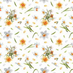 Obraz premium Watercolor seamless pattern, background with spring flowers of white and yellow daffodils. A bouquet of daffodils and individual flowers and leaves on a white background.
