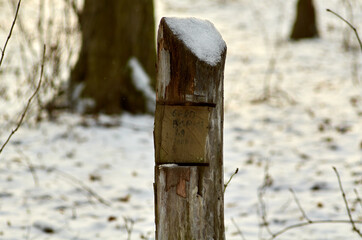 Wooden post in snowy forest