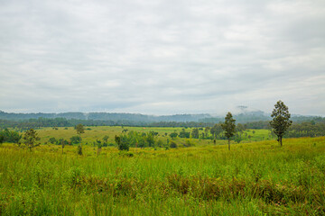 Fototapeta premium Mountain view with fog in rainy season in Thailand