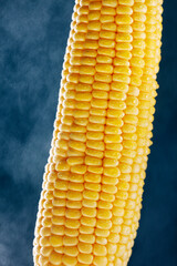 Fresh corn cooked for food, close-up, macro. Steam, water droplets, advertising photo, vertical position