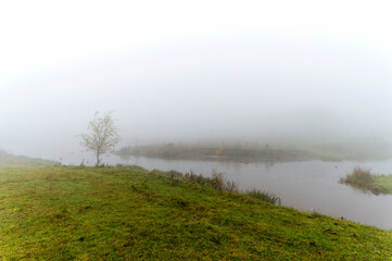 Obraz na płótnie Canvas The Vechtpark Hardenberg park in the mist