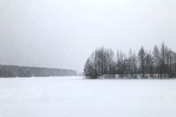 small island with leafless trees in the middle of a snow-covered lake during a snowfall winter minimalistic landscape