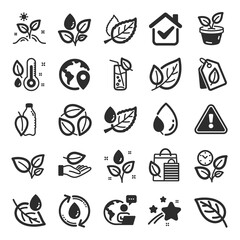 Plants icons. Mint leaf, Growing plants and Humidity thermometer icons. Bottle with mint water, Nature care, leaf on hand. Gardening new flower, environment, water drop and thermometer. Vector