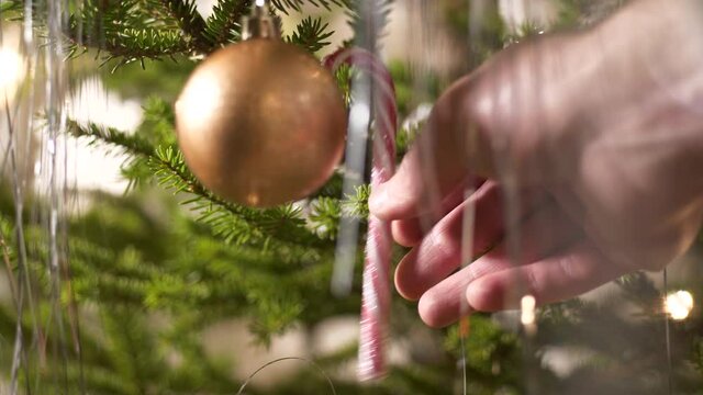 Person hand place candy sugarcane decoration on christmas tree