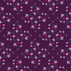 Fototapeta na wymiar Vintage seamless pattern with meadow flowers ornament and leaf elements. Purple bright background.
