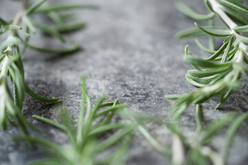 Obraz premium rosemary aromatic herb food