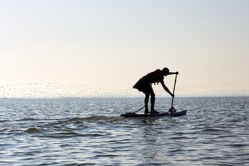 Silhouette of woman girl paddle SUP boarding at lake against flock of flying birds