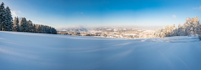 Snowshoe tour at the Gehrenberg near Lake Constance