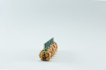 Fototapeta na wymiar RAM board inserted into walnut kernels on gray background