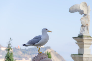 A seagull is sitting on a sculpture near the sea.