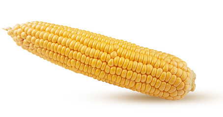 Ear of corn