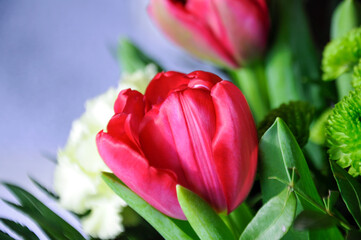 Naklejka premium bouquet of colorful flowers - detail of red tulip