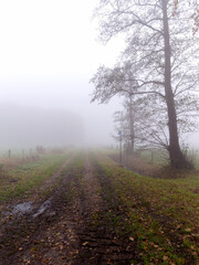Obraz na płótnie Canvas Country road on a foggy day