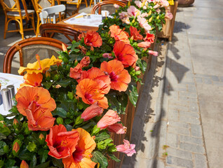 Outdoor street coffee decorated flowers.