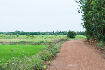 path in the countryside