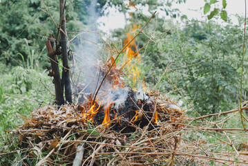 fire in the woods