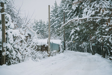 Fototapeta na wymiar Snow-covered Russian village near the forest