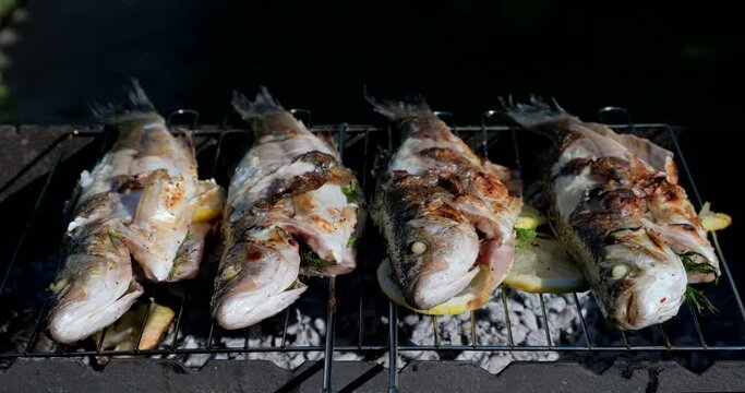 Sea bass or grouper fish grilled over charcoal. Close-up shot cooking seafish with aromatic spices on barbecue grill plate. Baking roasting marinated delicious seafood. BBQ  in summer garden outdoors 