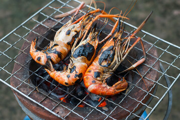 grilled shrimp on the grill