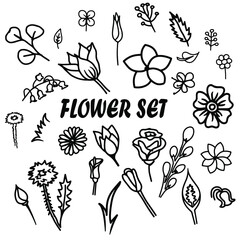 Flowers vector hand drawn floral  doodle set  of elements black and white