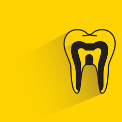 tooth with shadow on yellow background vector