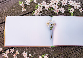 open notebook with blank pages and flowering sprigs of fruit tree on an old wooden table in the garden