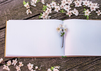 open notebook with blank pages and flowering sprigs of fruit tree on an old wooden table in the...